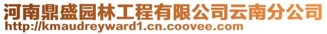 河南鼎盛園林工程有限公司云南分公司