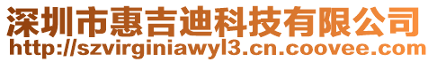 深圳市惠吉迪科技有限公司