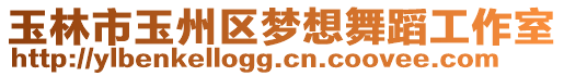 玉林市玉州區(qū)夢想舞蹈工作室