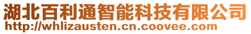 湖北百利通智能科技有限公司