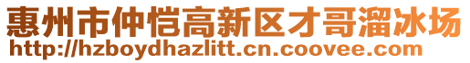 惠州市仲愷高新區(qū)才哥溜冰場