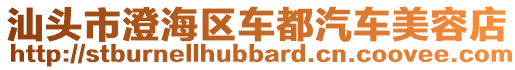 汕頭市澄海區(qū)車都汽車美容店