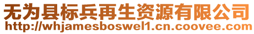 無為縣標(biāo)兵再生資源有限公司