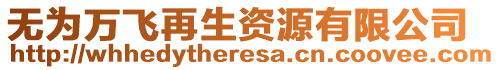 無為萬飛再生資源有限公司