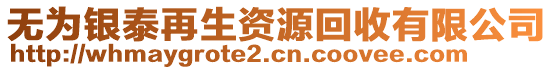 無為銀泰再生資源回收有限公司