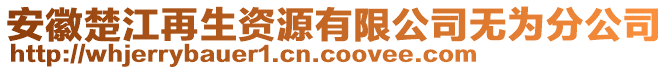 安徽楚江再生資源有限公司無為分公司