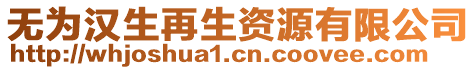 無(wú)為漢生再生資源有限公司