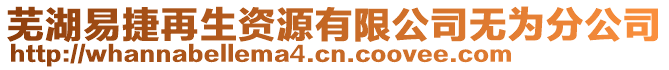 蕪湖易捷再生資源有限公司無為分公司