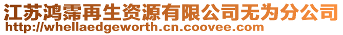 江蘇鴻霈再生資源有限公司無為分公司