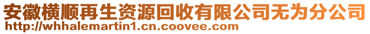 安徽橫順再生資源回收有限公司無(wú)為分公司