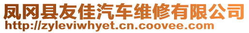 鳳岡縣友佳汽車(chē)維修有限公司