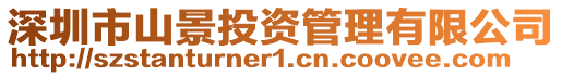 深圳市山景投資管理有限公司