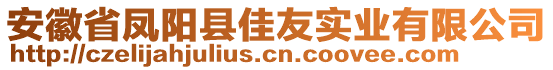 安徽省鳳陽縣佳友實(shí)業(yè)有限公司