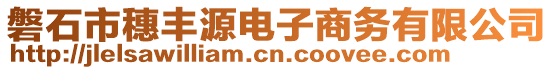 磐石市穗豐源電子商務(wù)有限公司