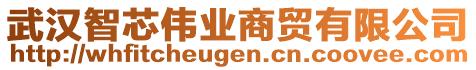 武漢智芯偉業(yè)商貿(mào)有限公司