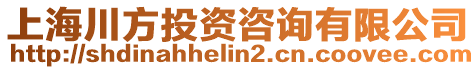 上海川方投資咨詢有限公司