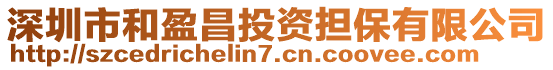 深圳市和盈昌投資擔(dān)保有限公司