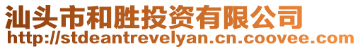 汕頭市和勝投資有限公司