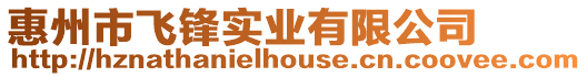 惠州市飛鋒實業有限公司