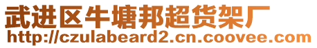 武進(jìn)區(qū)牛塘邦超貨架廠