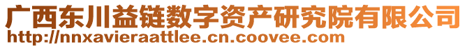 廣西東川益鏈數(shù)字資產(chǎn)研究院有限公司