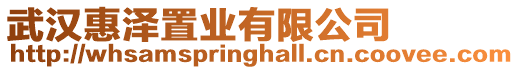 武漢惠澤置業(yè)有限公司