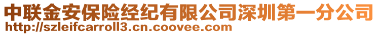 中聯(lián)金安保險經紀有限公司深圳第一分公司