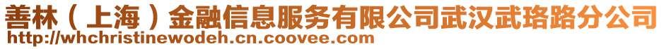 善林（上海）金融信息服務(wù)有限公司武漢武珞路分公司