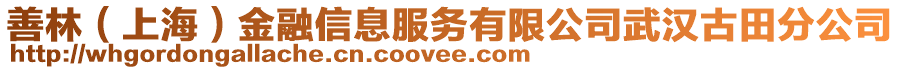 善林（上海）金融信息服務(wù)有限公司武漢古田分公司