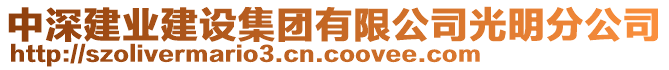 中深建業(yè)建設集團有限公司光明分公司