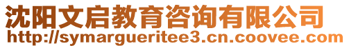 沈陽文啟教育咨詢有限公司