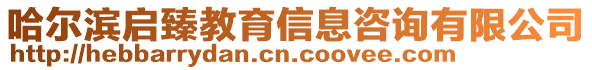 哈爾濱啟臻教育信息咨詢有限公司