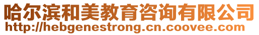 哈爾濱和美教育咨詢有限公司