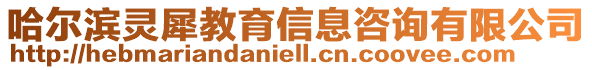 哈爾濱靈犀教育信息咨詢有限公司