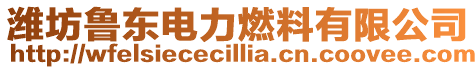 濰坊魯東電力燃料有限公司