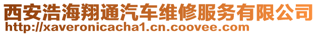 西安浩海翔通汽車維修服務(wù)有限公司