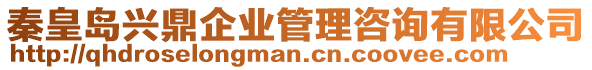 秦皇島興鼎企業(yè)管理咨詢有限公司