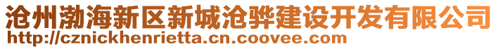 滄州渤海新區(qū)新城滄驊建設(shè)開發(fā)有限公司