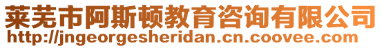 萊蕪市阿斯頓教育咨詢有限公司