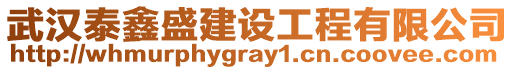 武漢泰鑫盛建設工程有限公司