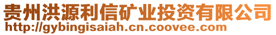 貴州洪源利信礦業(yè)投資有限公司