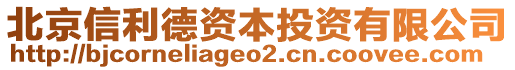 北京信利德資本投資有限公司