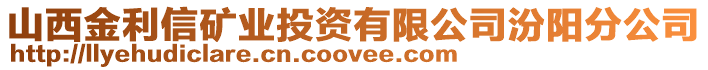 山西金利信礦業(yè)投資有限公司汾陽分公司