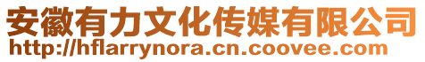 安徽有力文化傳媒有限公司