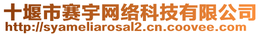 十堰市賽宇網(wǎng)絡(luò)科技有限公司