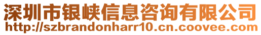 深圳市銀峽信息咨詢有限公司