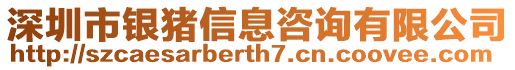 深圳市銀豬信息咨詢有限公司