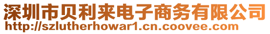 深圳市貝利來電子商務有限公司