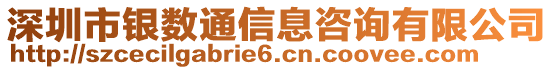 深圳市銀數(shù)通信息咨詢有限公司