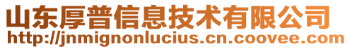 山東厚普信息技術(shù)有限公司